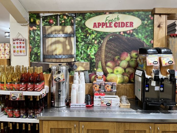 organic apple cider